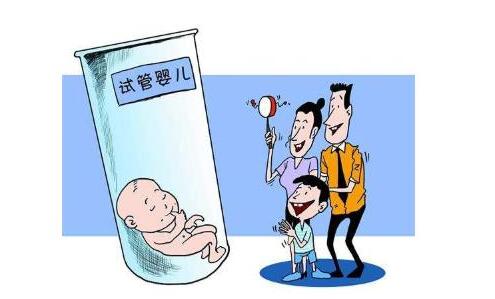 胚胎操作